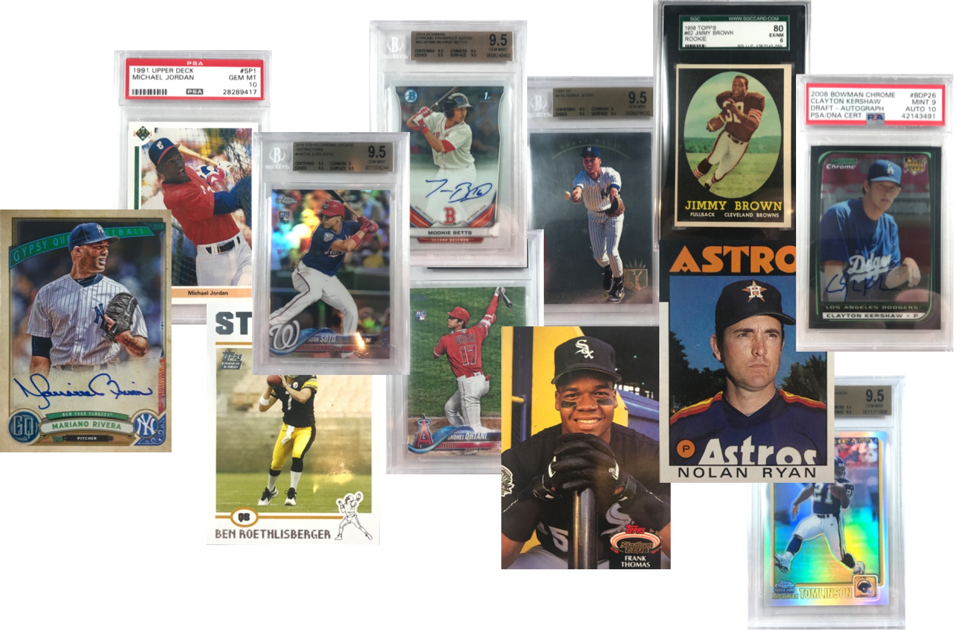 Cardboard Showcase